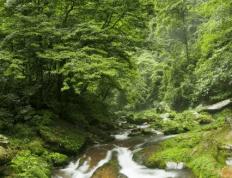 太(tài)极音乐大合集，送给练太(tài)极的你！（附下载链接）