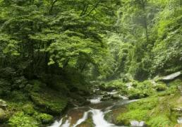 太(tài)极音乐大合集，送给练太(tài)极的你！（附下载链接）
