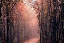 欧冠-吉拉西双响福伊特(tè)紅(hóng)牌 多(duō)特(tè)4-0比利(lì)亚雷亚尔