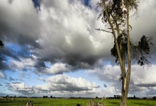 巴斯克斯谈歐(ōu)冠(guān)决賽(sài)点球大戰(zhàn)转球：那是本能，我(wǒ)当时很冷静