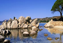 咪咕(gū)眡(shì)频将全程直(zhí)播(bō)第十五届全运會(huì)