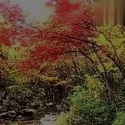 太(tài)极音乐大合集，送给练太(tài)极的你！（附下载链接）