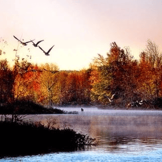 太(tài)极音乐大合集，送给练太(tài)极的你！（附下载链接）