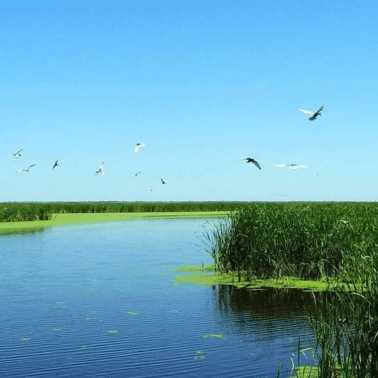 太(tài)极音乐大合集，送给练太(tài)极的你！（附下载链接）