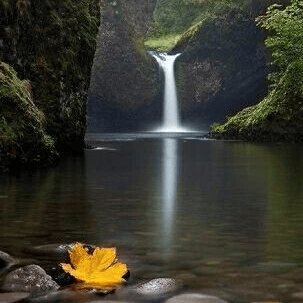 太(tài)极音乐大合集，送给练太(tài)极的你！（附下载链接）